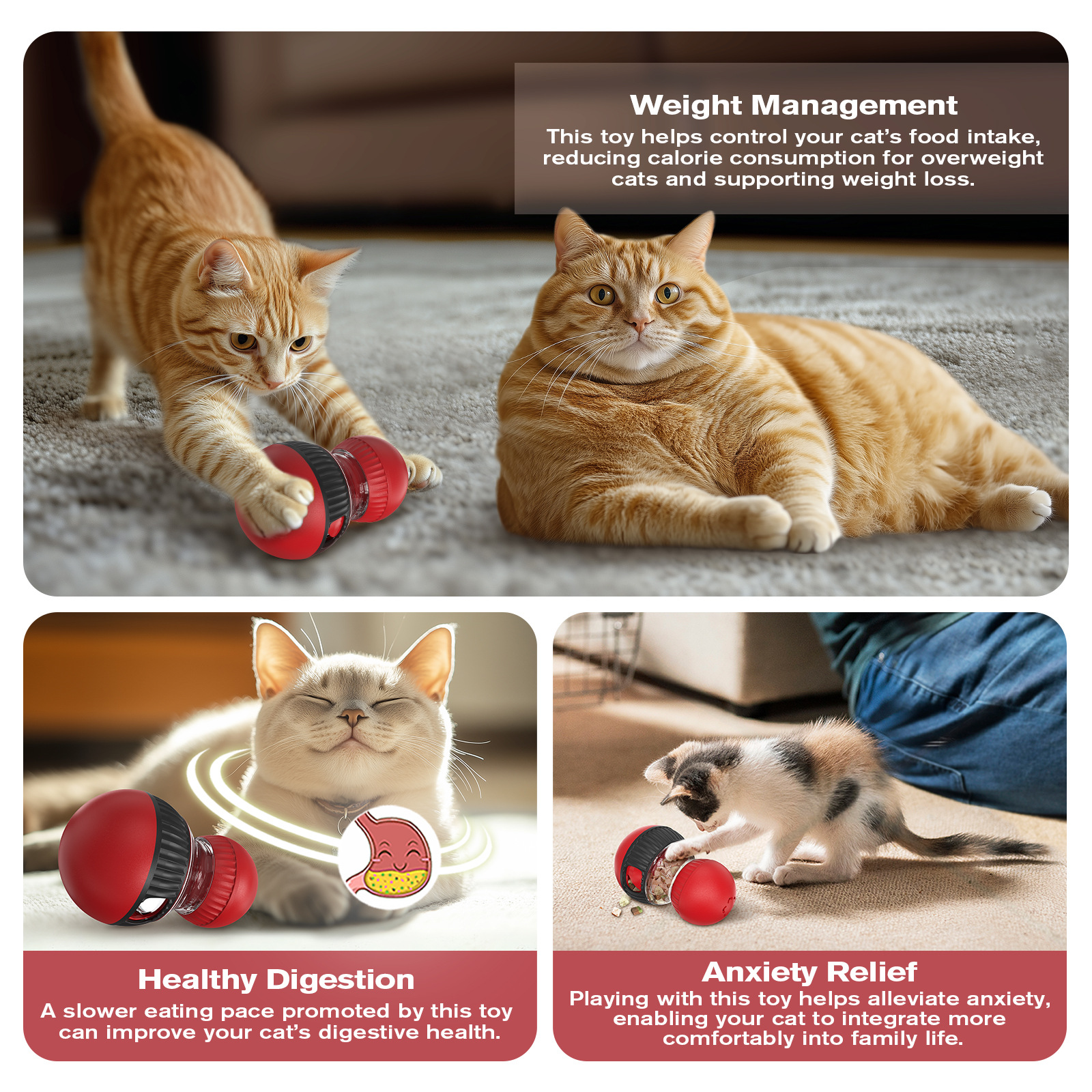 Super Ball Cat Toy - Interactive ABS Durable Cat Ball for Indoor/Outdoor Play