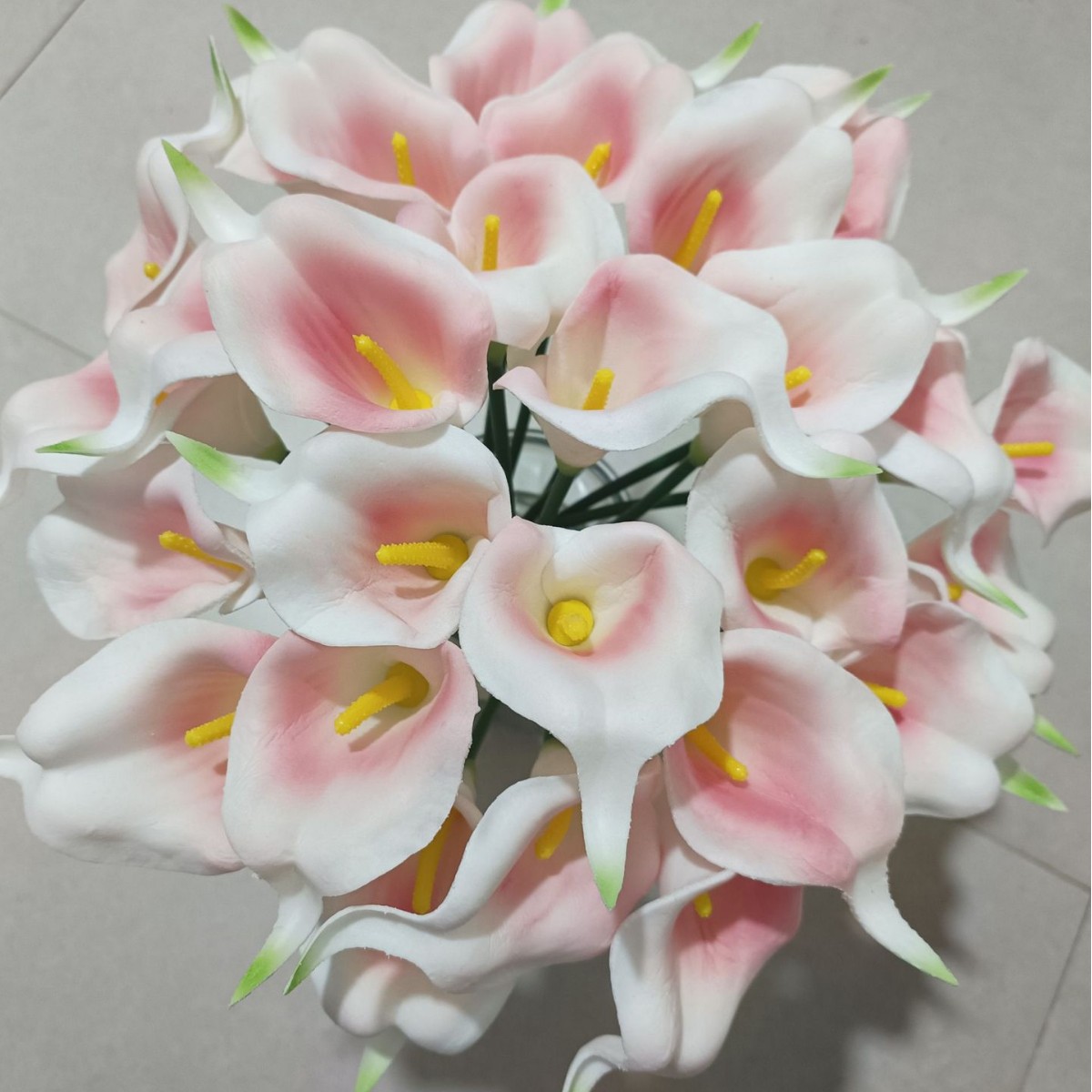 분홍색 녹색 꼬리