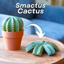 Smactus Cactus Coaster �����Ʊ��| 3d��ӡ����[��