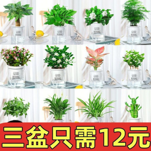 �҃Ȼ����k���ҾGֲ����ˮ����B�k�����͏dС�����_���G�}�lؔ��