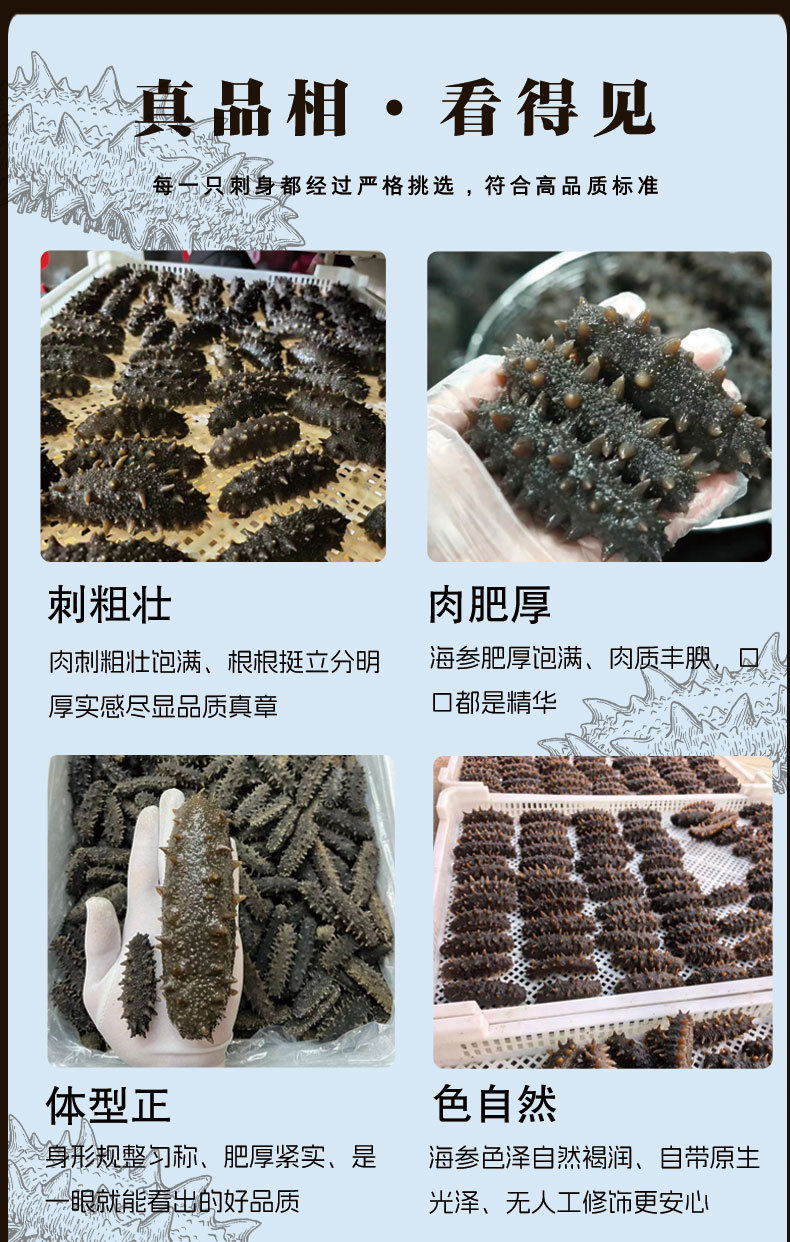 Ready to Eat Sea Cucumber Liaoning Dried Frozen Independent Pack 500g specifications
