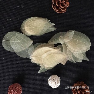 ֲ����Ȼ�����~ �����~�}�~�������~�ɻ��~�j�͌W���ώ�����