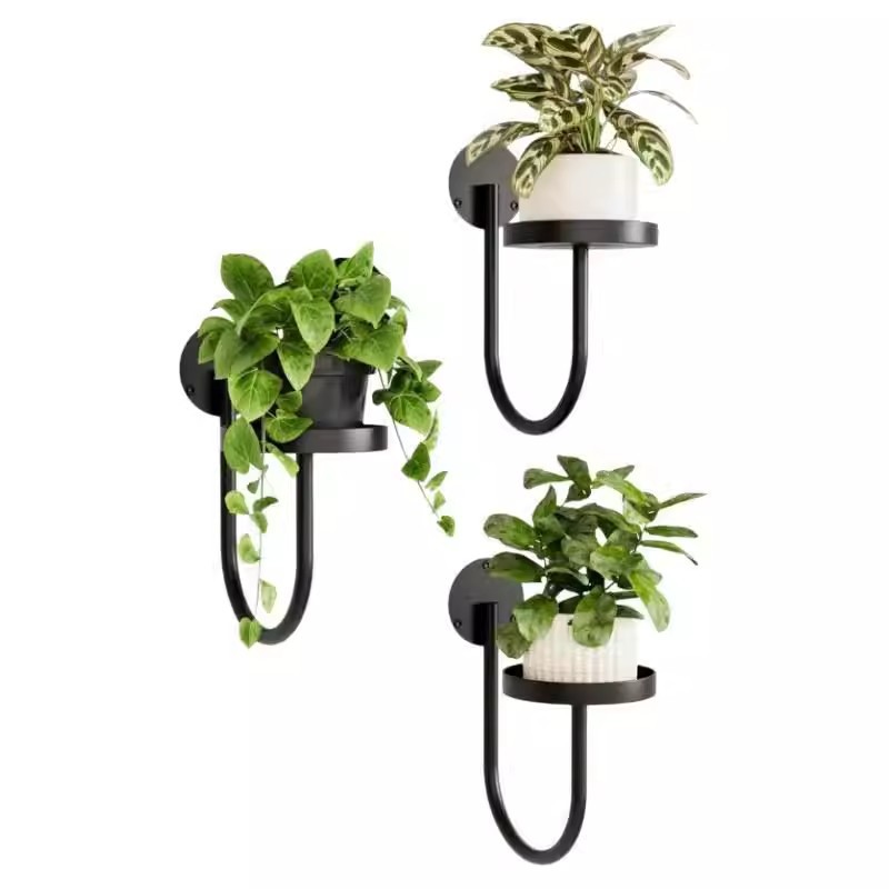 In-Stock New Model Cross-Border Nordic-Style Artificial Potted Plant Cement Pot Home Decor Creative Wall-Mounted Decoration Small Bonsai Stand