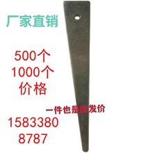 �������N��1000���͵����� ������б�F ���A�߲��N�������N