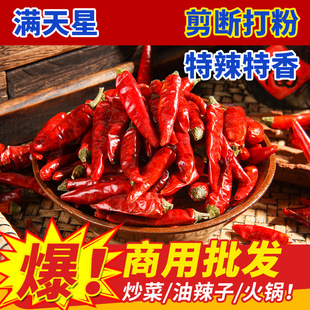 �M���ǳ����������������������������l�F���خa