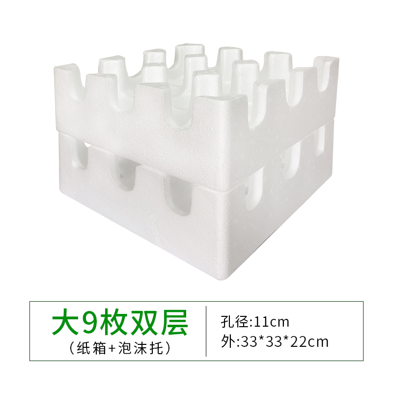 Caja de espuma de frutas manzana ciruela granada kiwi envasado de espuma de cartón conjunto mayorista