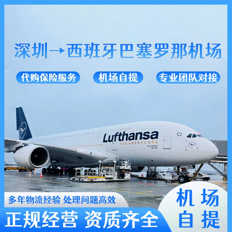 Электрический велосипед трехкомпонентная литиевая батарея Шэньчжэнь по воздуху в аэропорт Барселоны, Испания