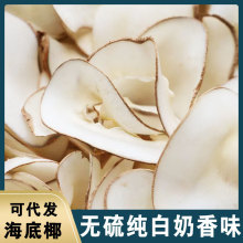 一手货源海椰子干片500g煲汤材料干货奶香黄海椰皇椰肉海底椰批发