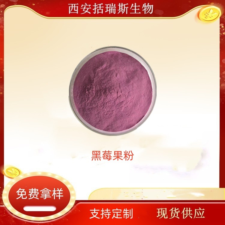 黑莓果粉 黑莓提取物 现货销售 水溶果粉  喷雾干燥