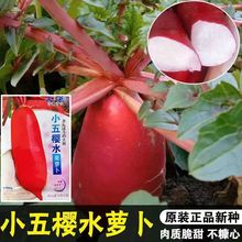 С���ˮ�}���N�� ˮ���tƤ����ˮ���}���r�Ҳˈ@�ļ����߲˷N��