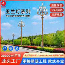 定制LED玉兰灯市政道路城市广场景区景观灯户外10-12米多头中华灯