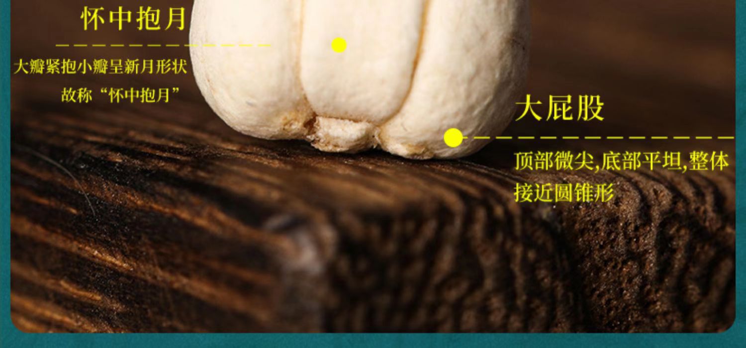 Sichuan Chuan Bei Mu Fritillaria Dried Bulbs 100g Traditional Chinese Herb for Decoction and Herbal Soup quality and texture