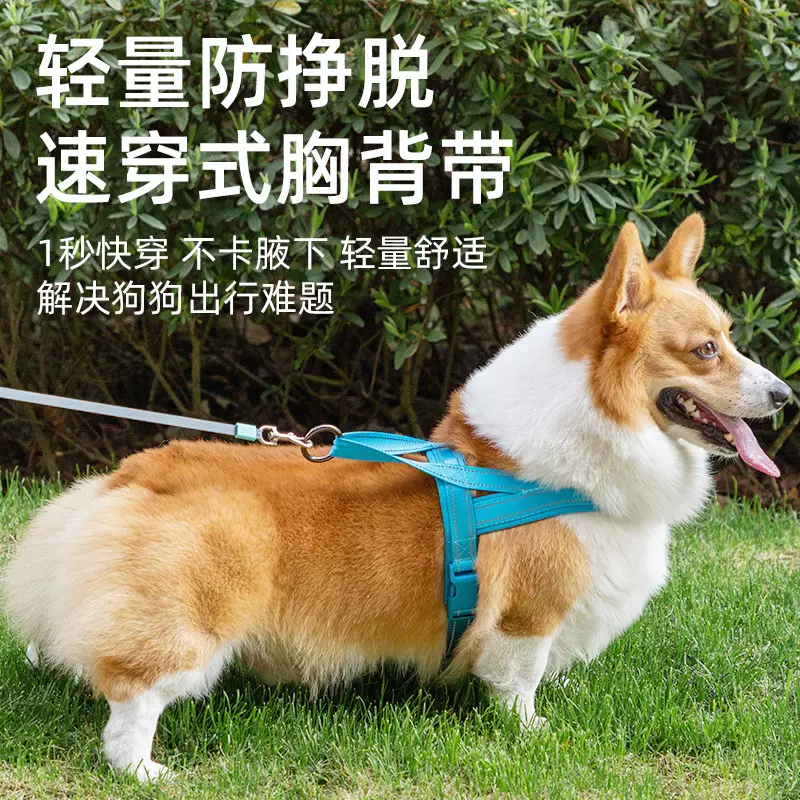猫狗通用宠物牵引绳反光透气狗狗胸背防挣脱背心式宠物胸背带定制