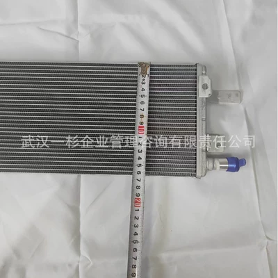 Direct sales from the original manufacturer B100006560 B016691 motor radiator for Yixuan MAX/Haoji