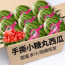 С�����ϻ�ɽ2k���Ǳ���ܱ�Ƥ���۶�֭���r�t��һ��һ��