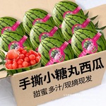小糖西瓜火山2k冰糖冰淇淋薄皮甜蜜多汁新鲜红心一藤一瓜