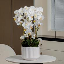 蝴蝶兰盆栽带花仿真3d手感pu花瓣婚庆逼真仿真花高级感客厅摆件