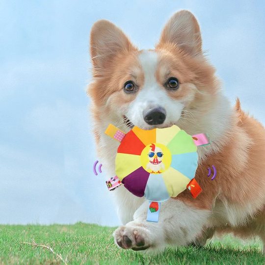 Dog Frisbee Toy Plush Voice Interactive Puppy Frisbee Molar Bite Resistant Pet Side Animal Husbandry Training Special for Dog Training