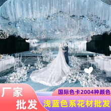 c{ɫϵϻ 滨 Yò 픟uHɫ2004N.