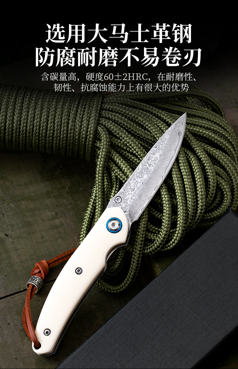 O1CN01q8SGoL2K7dZtn3uhn_!!2218135049510-0-cib.jpg?__r__=1726758198976