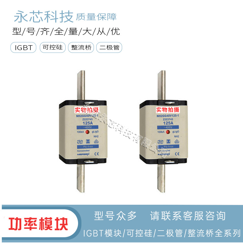 NH2GG40V125 NH2GG40V160 NH2GG40V200全新原装快速熔断器保险丝