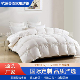Factory Direct Supply down Quilt Fluffy and Comfortable All Year Round Quilt Winter Feather Quilt Amazon Quilted Warm Quilt