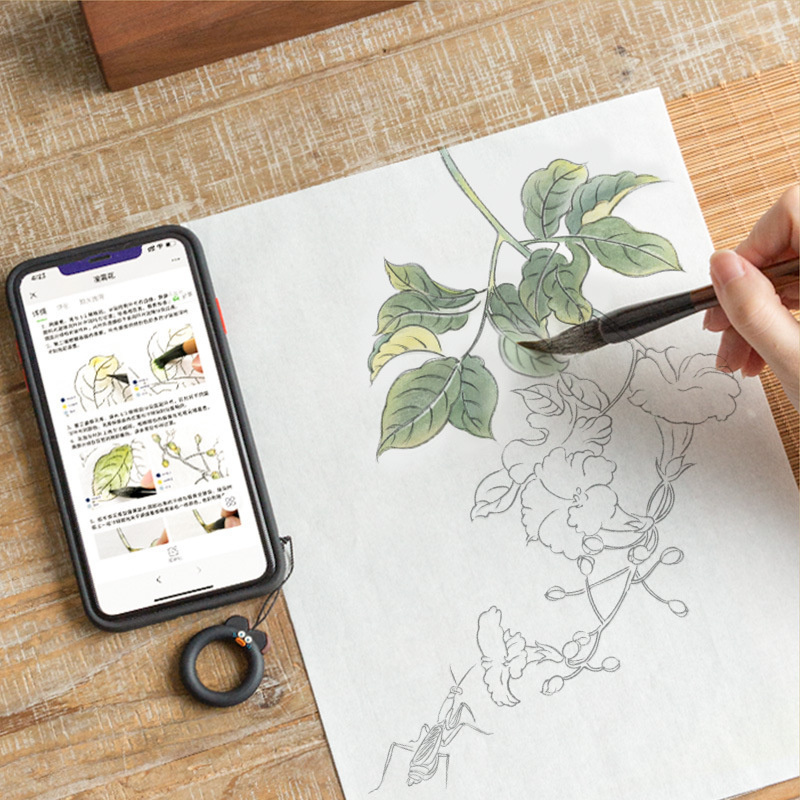 飞乐鸟白描底稿工笔画涂色古风花卉临摹套装初学者国画手绘宣纸|undefined