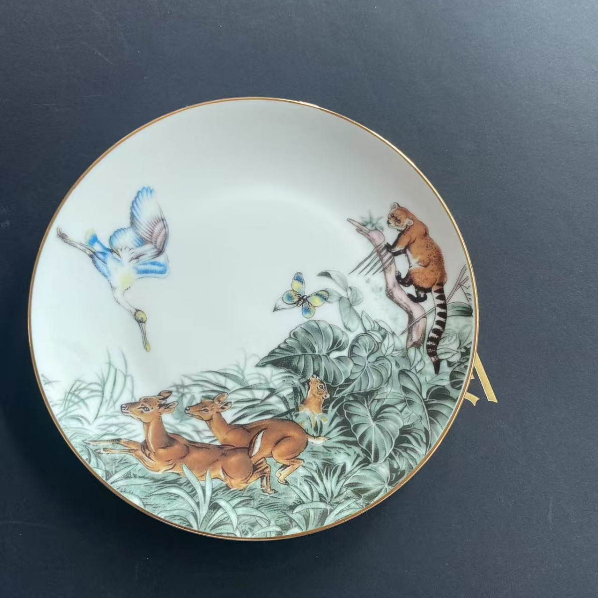 Lujo ligero de estilo europeo, porcelana de hueso de la selva ecuatorial, taza de café, platillo, taza de té de la tarde, juego de caja de regalo, regalo de boda de cumpleaños