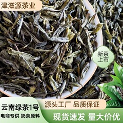 2025新茶云南绿茶黄条1号茶奶茶原料茶茶坯绿茶叶散批黄片生态茶