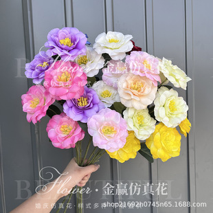 3�^�¹� ���滨��c�廨�b���ܽ�ػ�����ɽ�軨