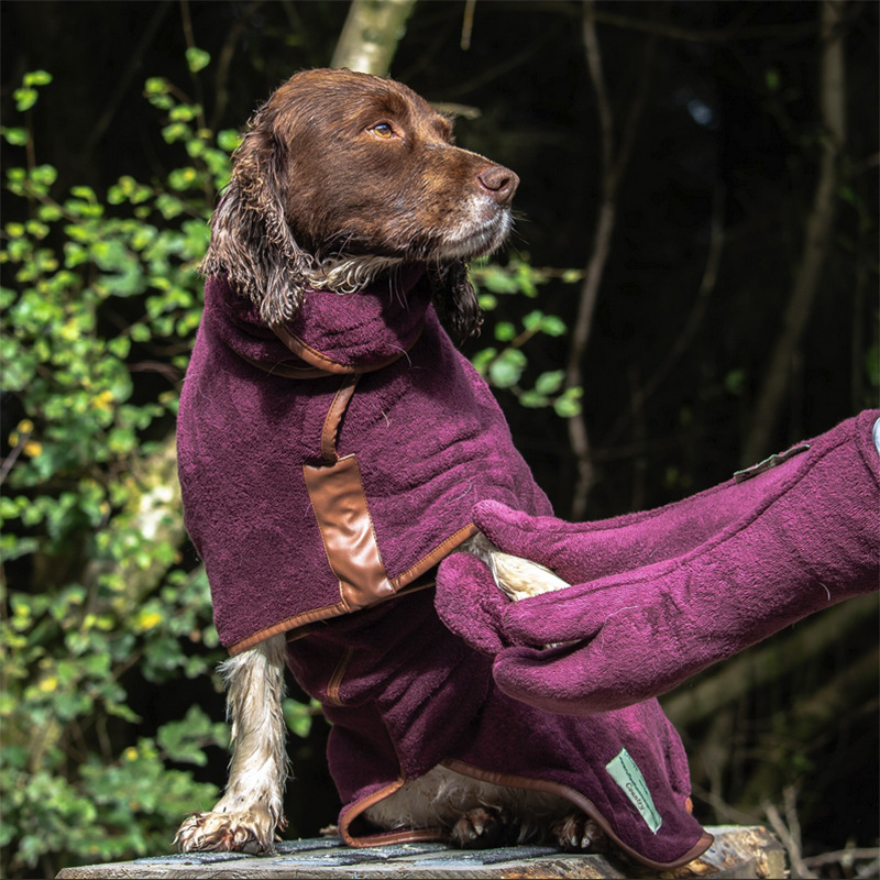 Fábrica transfronteriza spot mascota perro caballo pie limpieza cuidado guantes secos dog cat