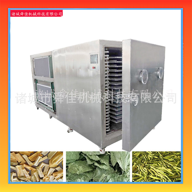 树叶鲜花真空冻干机 芦荟提取物低温脱水干燥机 豆角芸豆冻干机