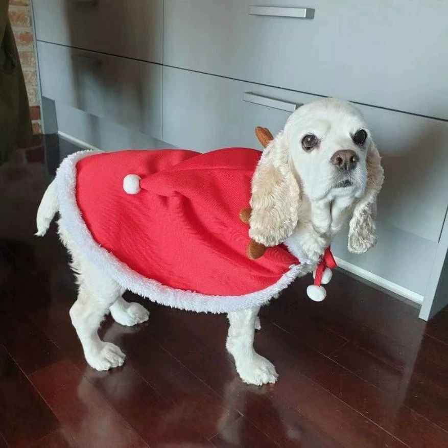 Рождественская Вечеринка шляпа для домашних животных головной убор Санта-Клауса аксессуары для волос для домашних животных маг одеваются праздничный подарок