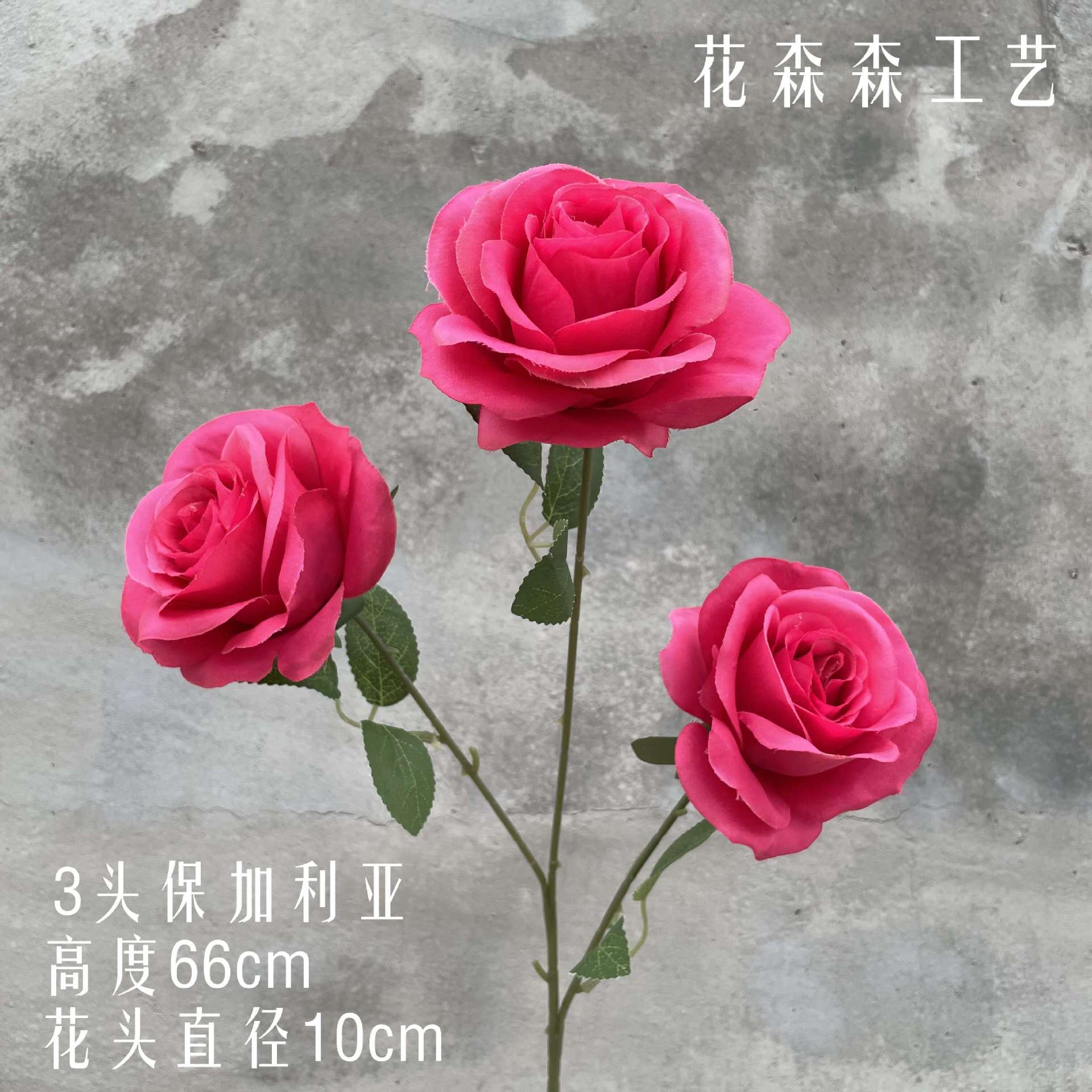 3 불가리아 152316