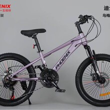 凤凰儿童自行车6-8-10-12岁中大童男女孩20寸22寸变速山地