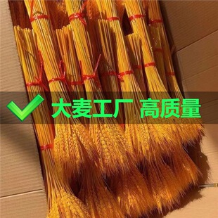 �S������ɻ��_�I���@����ٻ����Ӕ[��������Ȼ�b��滨���l