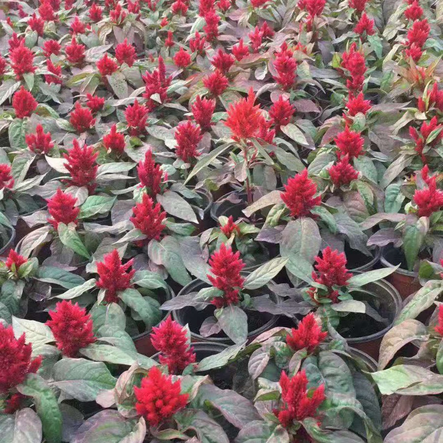 2024-03-26 22:07:23.jpg