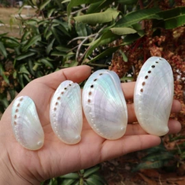 海螺/贝壳;工艺原料;风铃