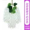 Encrypted Wisteria Flower - Milk White