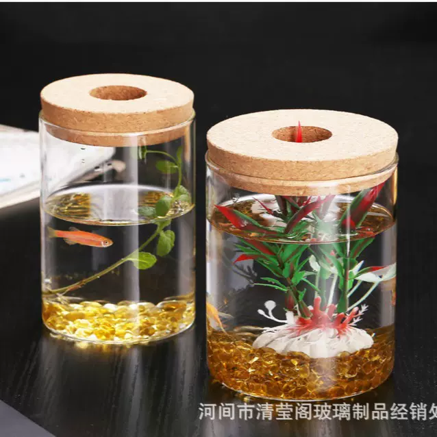 直筒带孔直管斗鱼瓶养海胆水草高硼硅玻璃桌面台面微景观造景