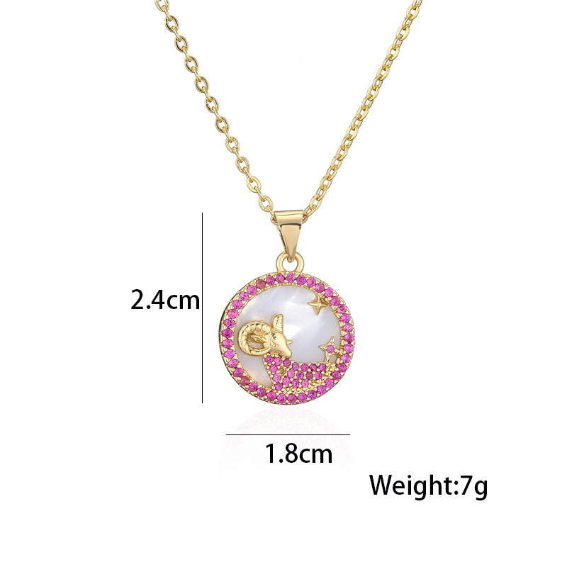 Wholesale Bijoux Collier En Cuivre Plaqué Or 12 Constellation Nihaojewelry display picture 19