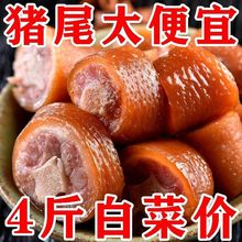 五香猪尾巴红烧猪尾巴真空熟食开袋即食卤猪尾猪蹄肘子猪肉其他
