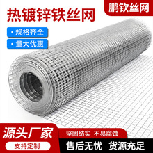热镀锌铁丝网建筑工地内外墙抹灰防裂镀锌铁丝网电焊网养殖圈地网