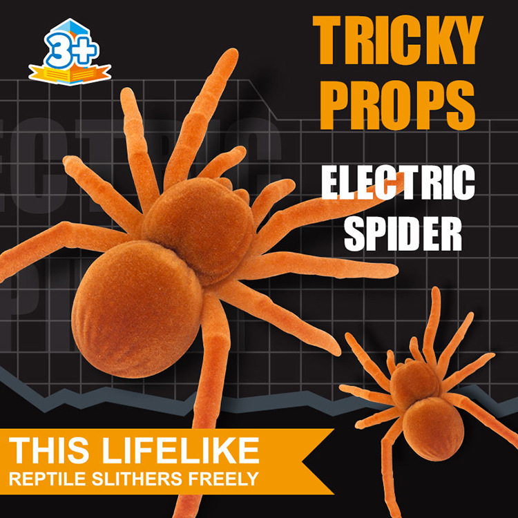 仿真震动爬行小蜘蛛整蛊创意玩具 宠物动物模型仿真兴趣儿童玩具