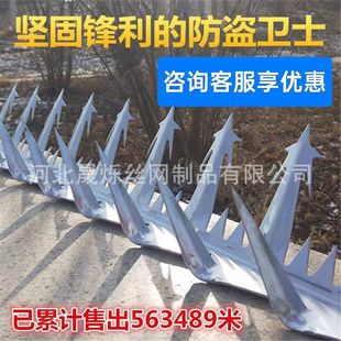 Wall head fence hot galvanized stab nail anti-climbing stainless steel stab nail villa fence anti-climbing anti-climbing stab nail