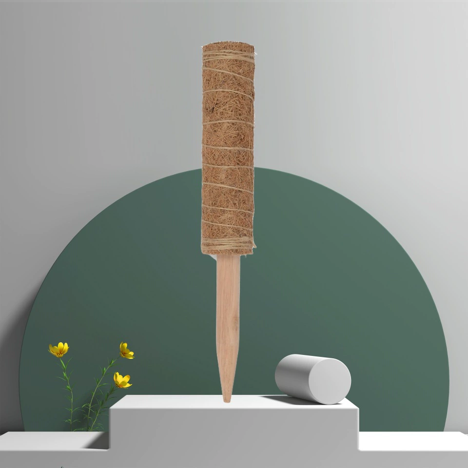 Зеленый редис оптом Монстера Кокосовая Пальмовая палочка Опора крупнолистовая колонна вьющаяся лоза зеленая опора для растений столб вода столб со мхом Коричневая колонна