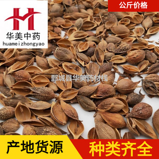 �B�N1000�� �A����ș ��ș�����l�F؛���� �S�B�N ���N ��؛