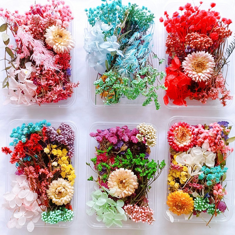 Festival bricolaje hecho a mano material de flor eterna planta flor seca florero flotante aromaterapia flor seca abanico de material paquete al por mayor