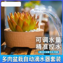 6个自动浇花器浇水神器家用阳台自助喷淋植物花盆滴水器淋花渗水