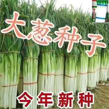 FU[NӸ߮aͺ߲˷Nɽ|ļ߮a[ѷN